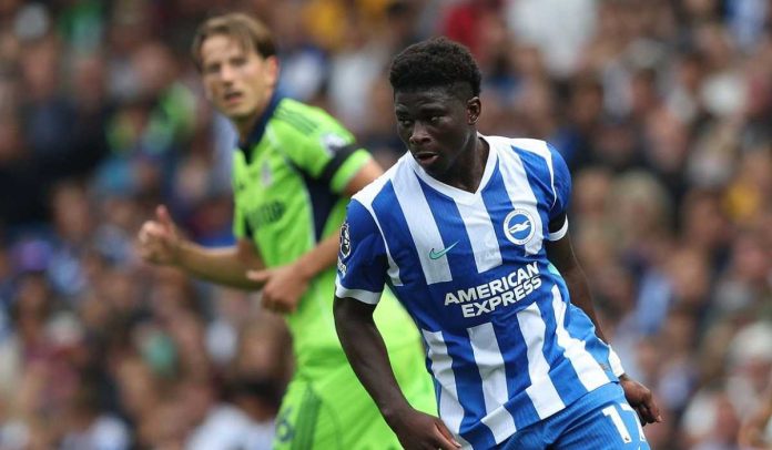 Carlos Baleba di laga Brighton & Hove Albion vs Fulham
