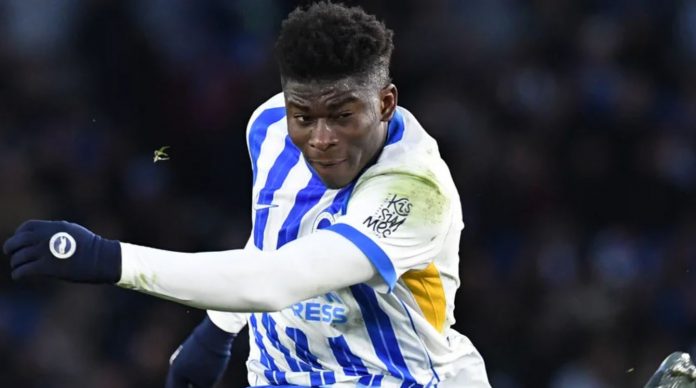 Carlos Baleba, gelandang muda Brighton yang diincar Manchester United dengan banderol selangit