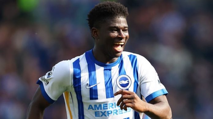 Carlos Baleba pemain Brighton
