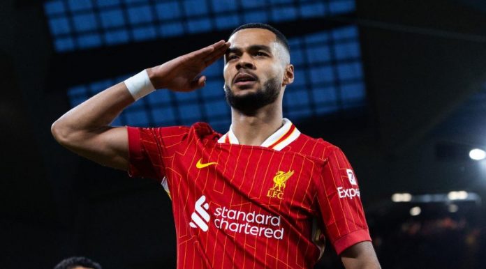 Cody Gakpo pemain Liverpool Cody Gakpo pemain Liverpool