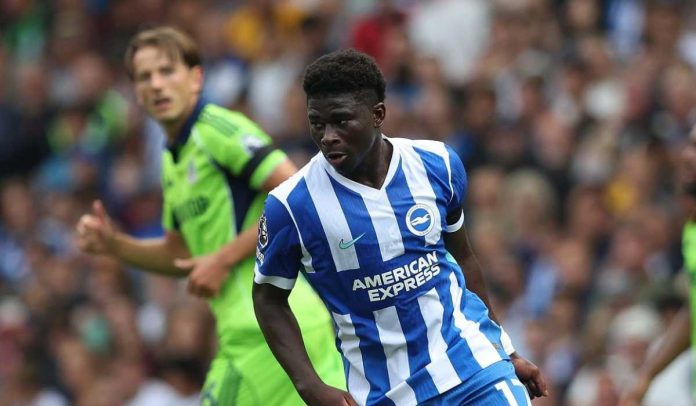 Carlos Baleba di laga Brighton vs Fulham Carlos Baleba di laga Brighton vs Fulham