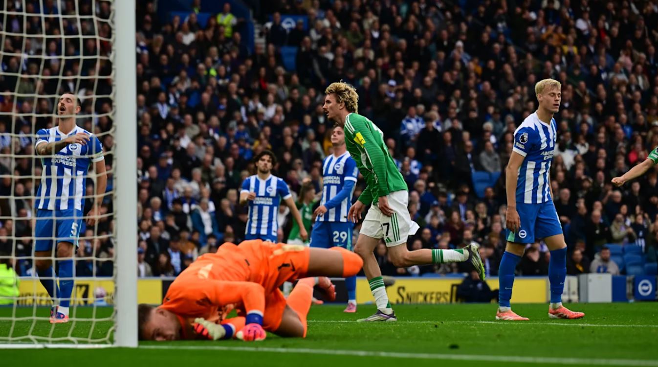 Hasl Brighton vs Newcastle United - Liga Inggris 2025 Hasl Brighton vs Newcastle United - Liga Inggris 2025