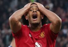Joshua Zirkzee striker Manchester United