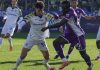 Hasil Parma vs Fiorentina skor akhir 1-0 - Liga Itlia