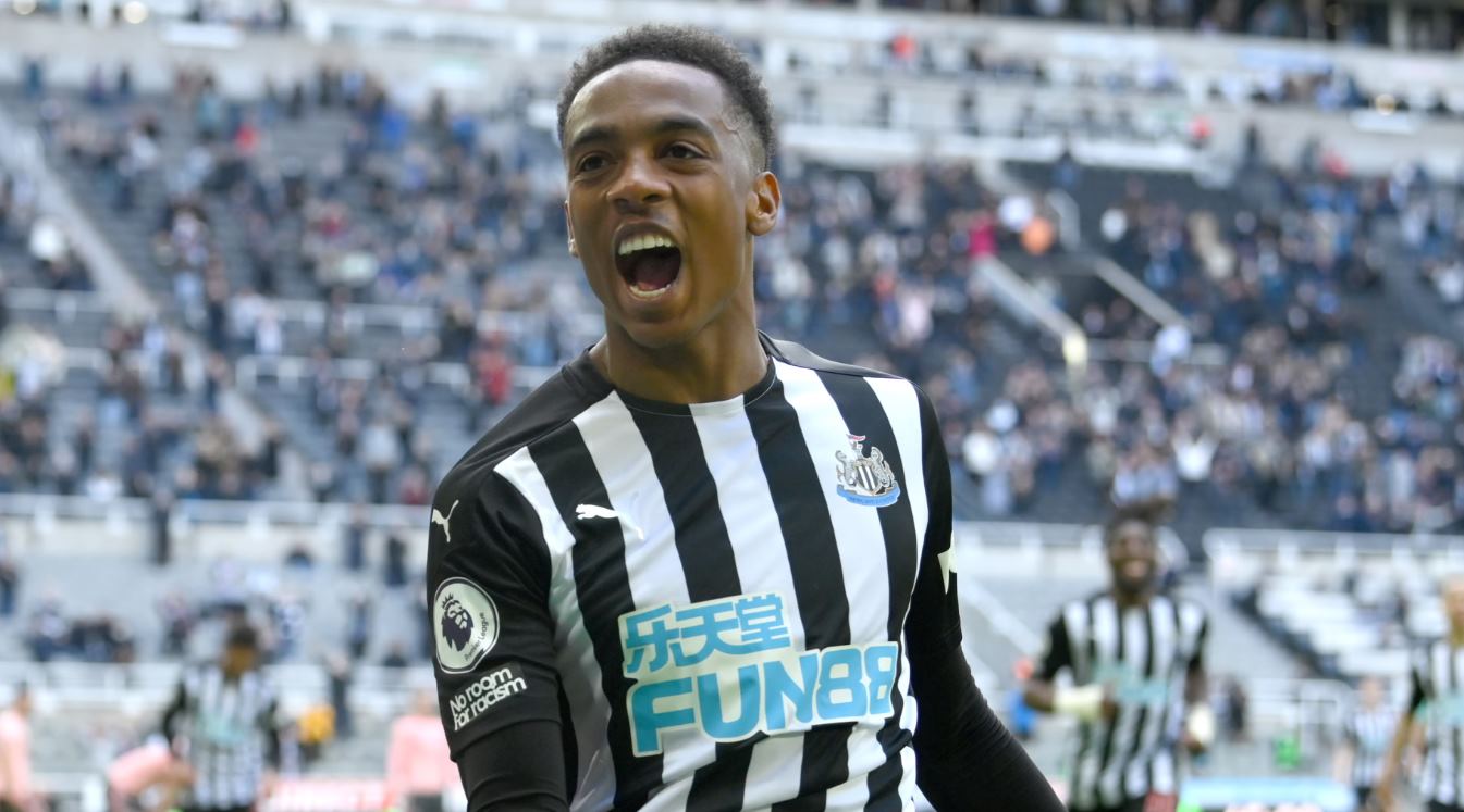 Joe Willock pemain Newcastle United