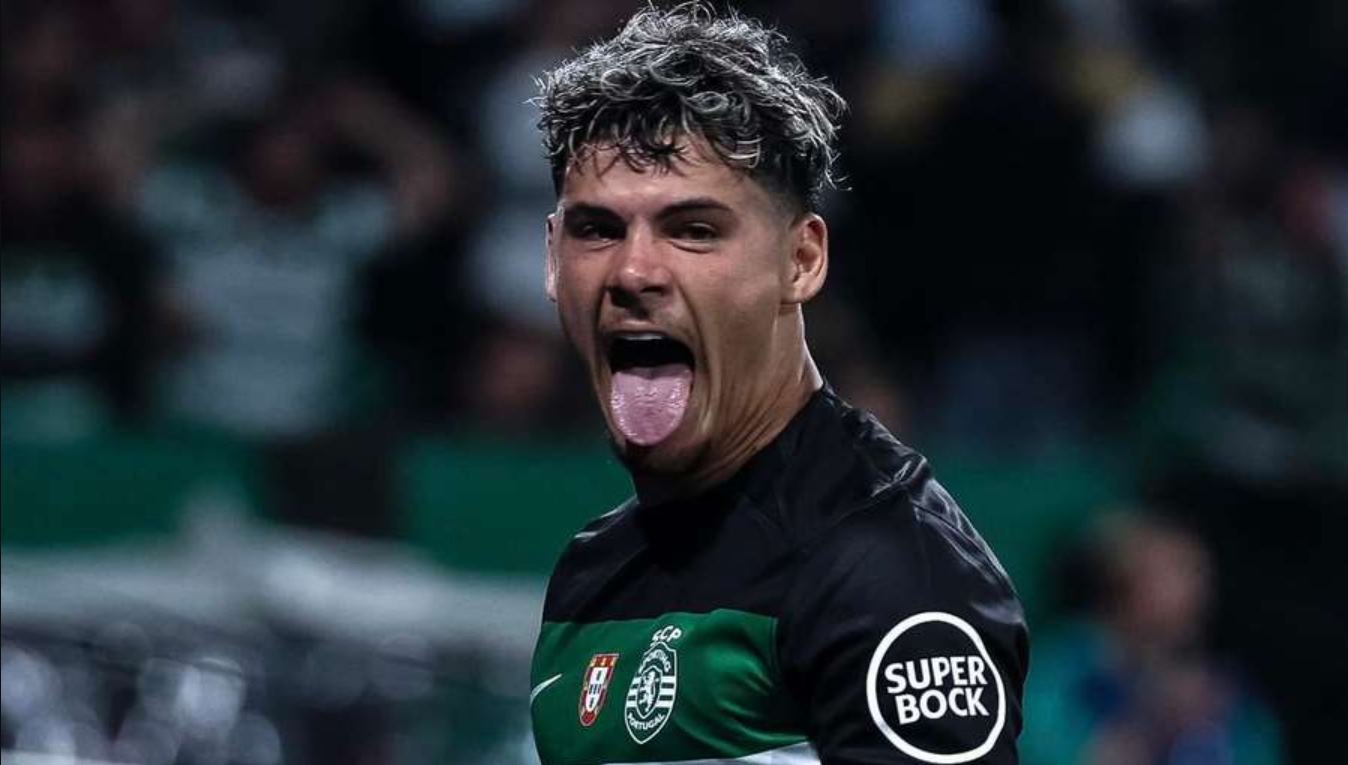 Maximiliano Araujo Maximiliano Araujo