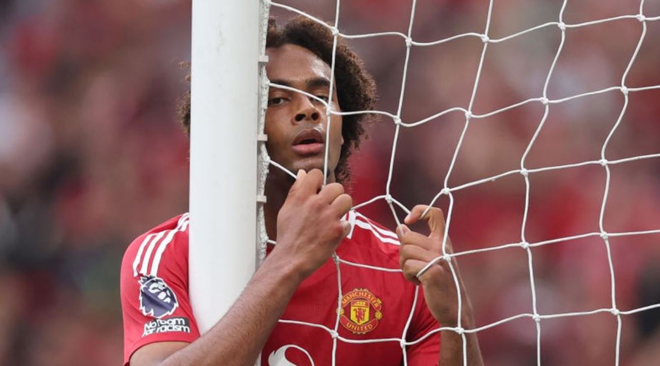 Update Transfer Manchester United - Joshua Zirkzee, Harry Maguire, Radek Vitek