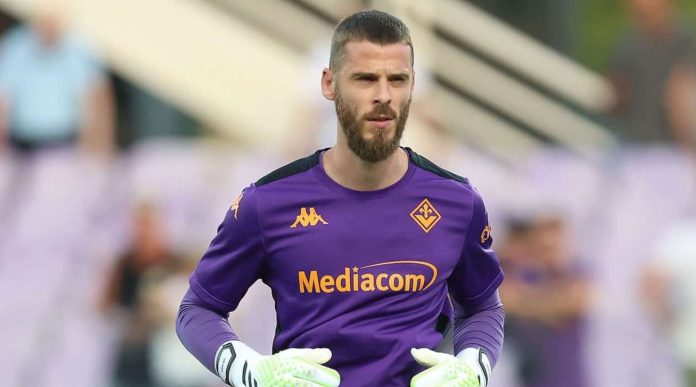 David De Gea kiper Fiorentina David De Gea kiper Fiorentina