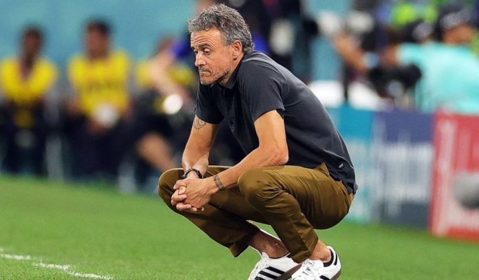 Luis Enrique pelatih PSG