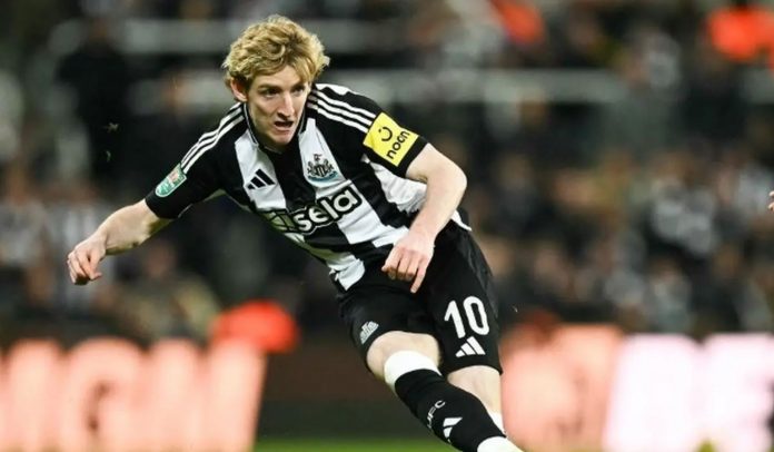 Newcastle United cari pengganti Anthony Gordon Newcastle United cari pengganti Anthony Gordon