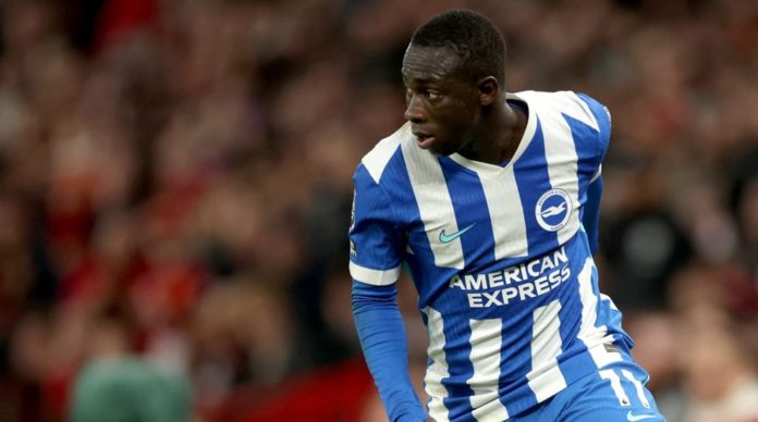 Yankuba Minteh pemain Brighton