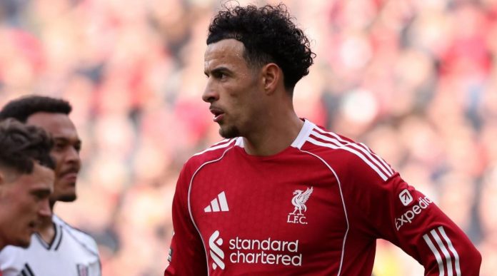 Curtis Jones pemain Liverpool Curtis Jones pemain Liverpool