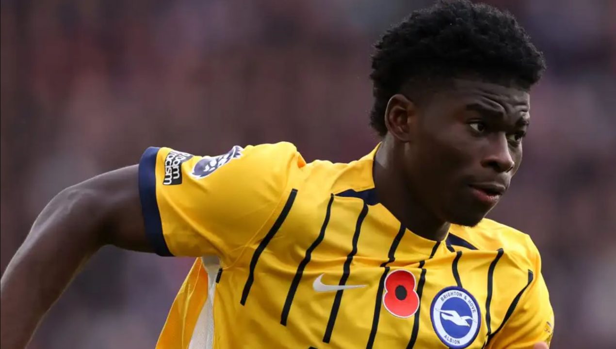 Carlos Baleba pemain Brighton