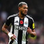Joelinton pemain Newcastle United