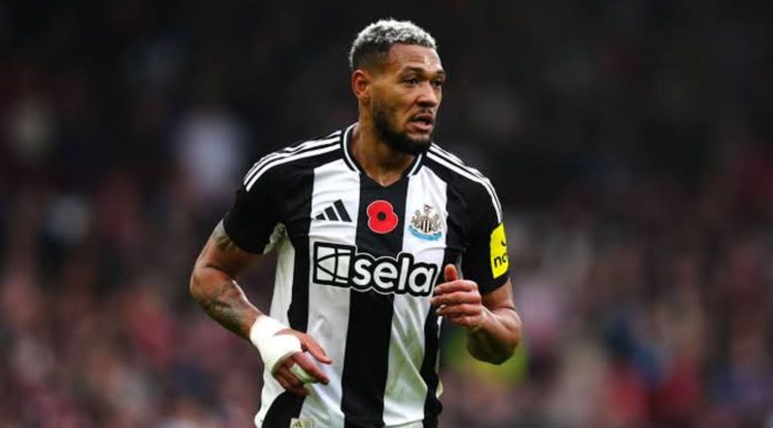 Joelinton pemain Newcastle United Joelinton pemain Newcastle United