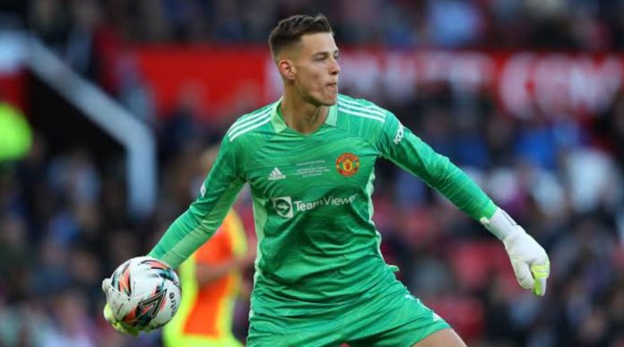 Rdek VItek pemain Manchester United Rdek VItek pemain Manchester United