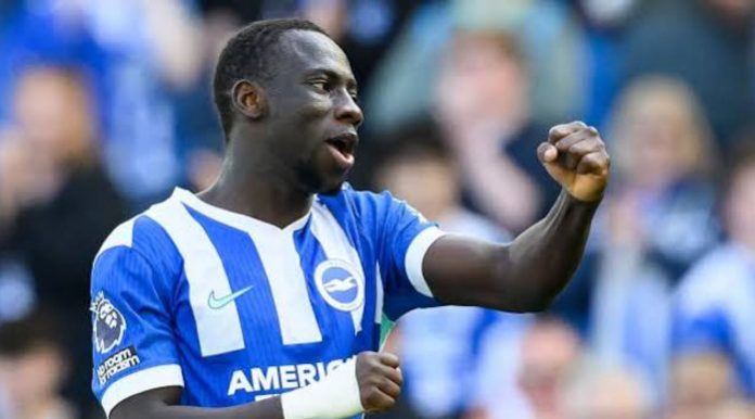 Yankuba Minteh pemain Brighton