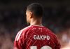 Cody Gakpo pemain Liverpool