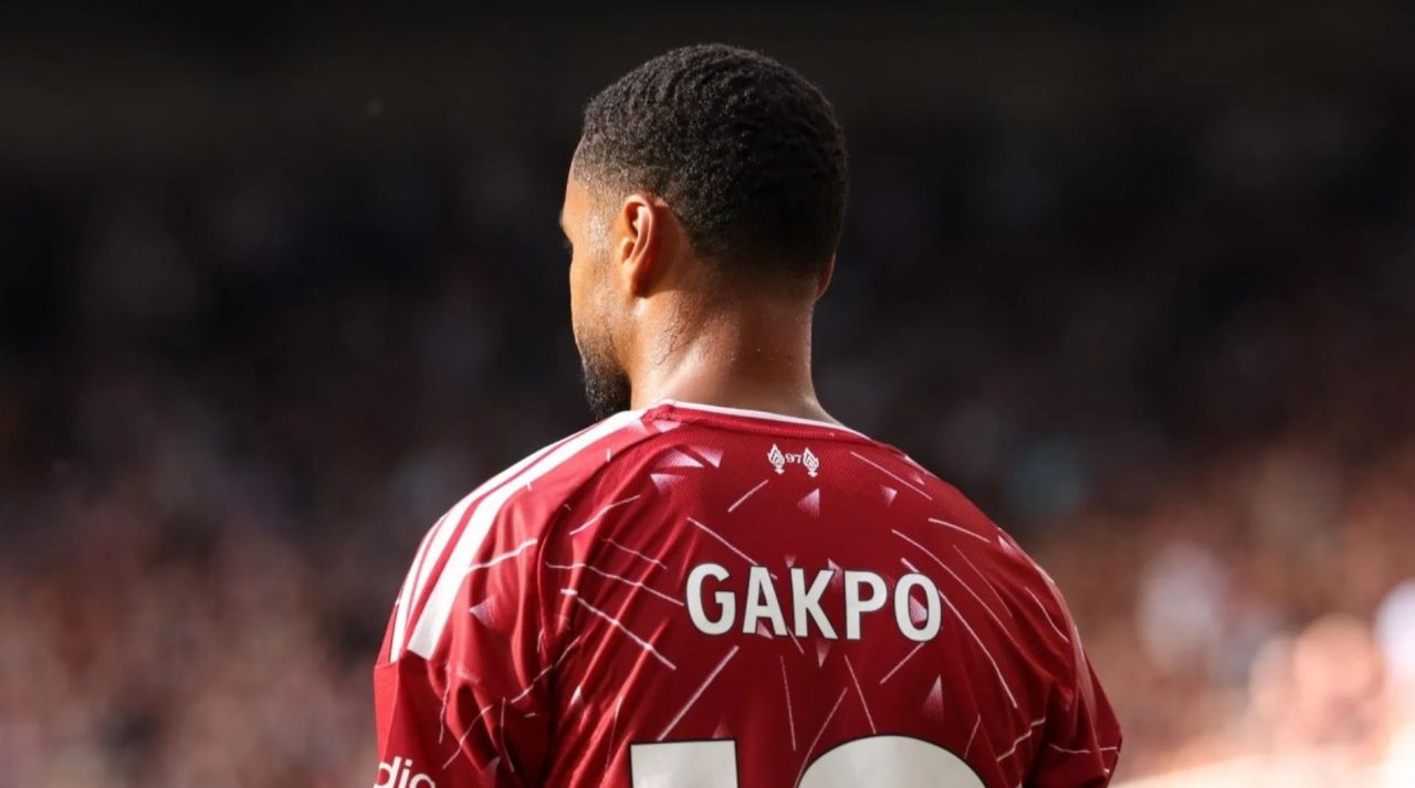 Cody Gakpo pemain Liverpool